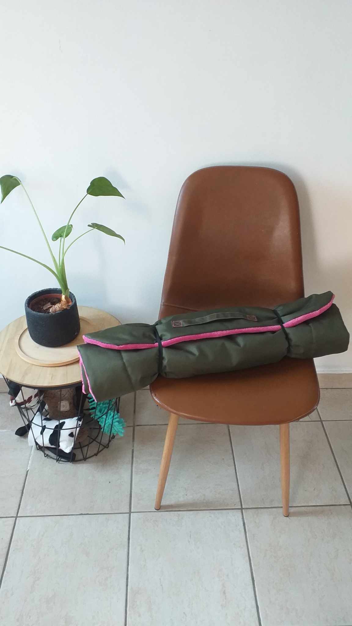 Hondenmat Travel GREEN - PINK